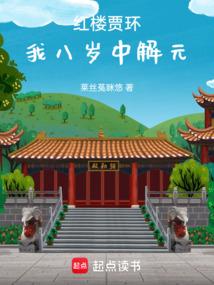 红楼贾环：我八岁中解元